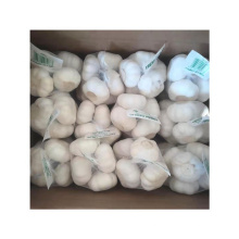 Good price wholesale large amount of fresh white garlic